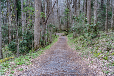 Cosby nature trail