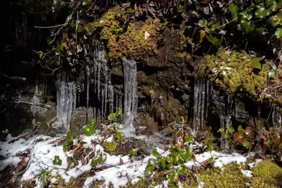 frozen icicles along Alum Cave Trail in the Smoky Mountains
