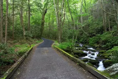 Roaring Fork Motor Nature Trail near Gatlinburg