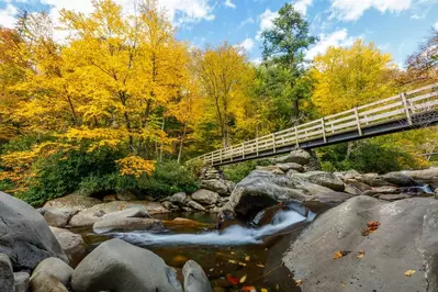smoky mountain Fall colors