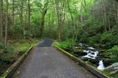 Roaring-Fork-Motor-Nature-Trail