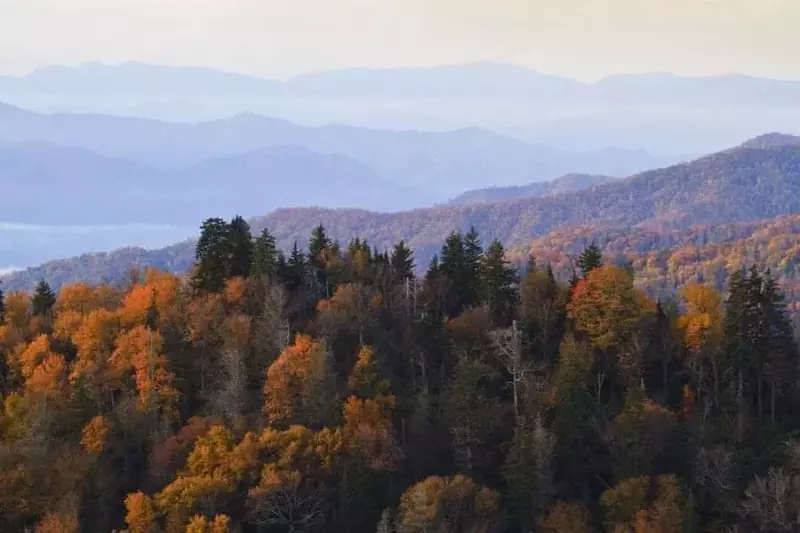 Amazing fall colors in the Smoky Mountains.