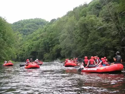 Lower Pigeon River Rafting