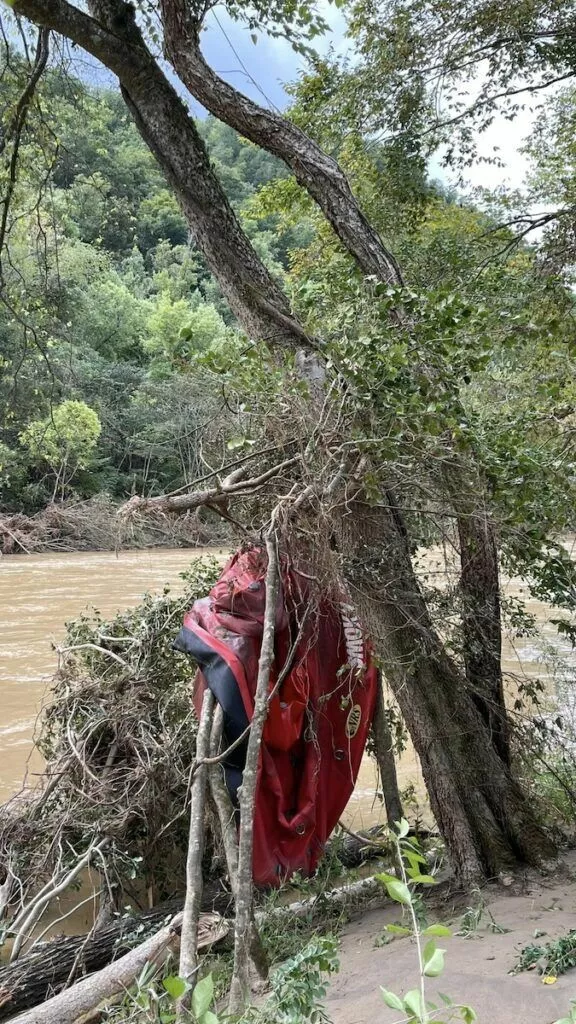 raft hanging on tree