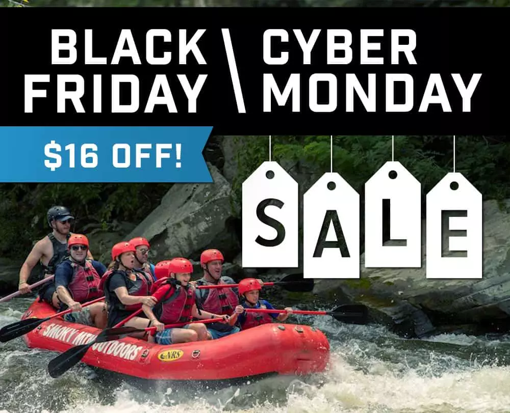 Black Friday / Cyber Monday Sale $16 Off