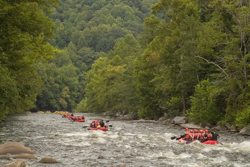 Rafting on the Pigeon River