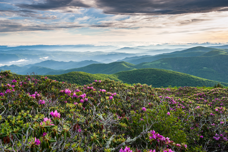 things to do in hartford tn