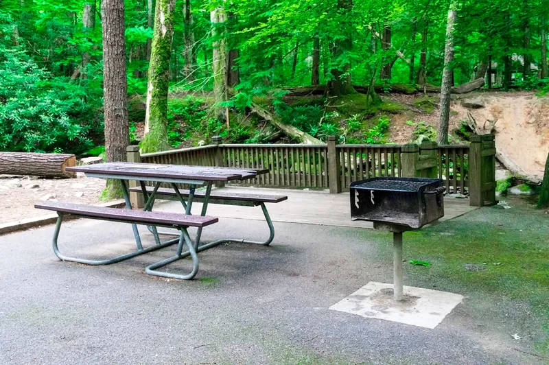 Horizontal,Shot,Of,A,Picnic,Table,And,Barbecue,Grill,In