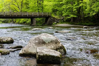 bridge of Little River at Metcalf Bottoms