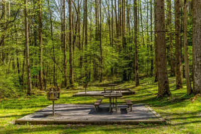 picnic tables and grills in Greenbrier Picnic Area