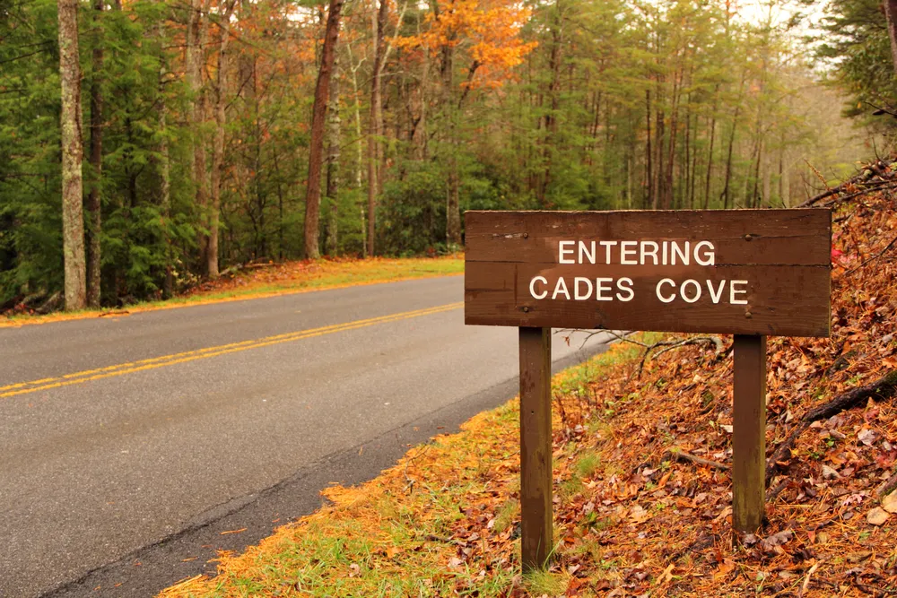 smokies in november