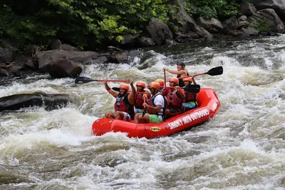 excited family rafting with paddles in air
