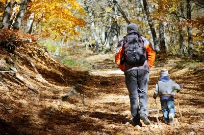 A father and son hiking in the Smoky Mountain in the fall
