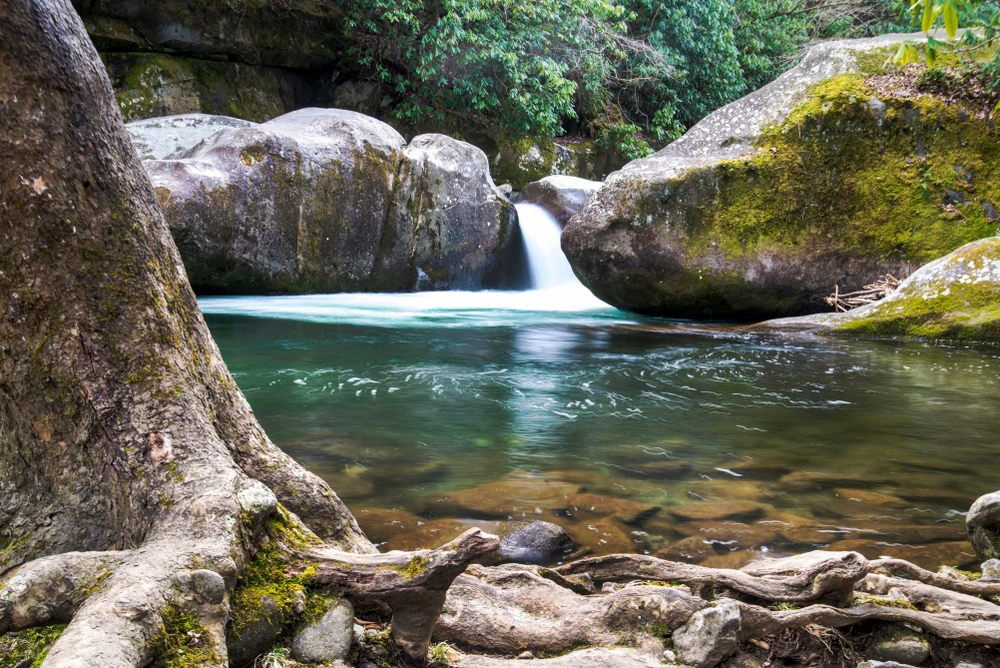 midnight hole along the big creek trail in the smoky mountains