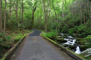 Roaring-Fork-Motor-Nature-Trail