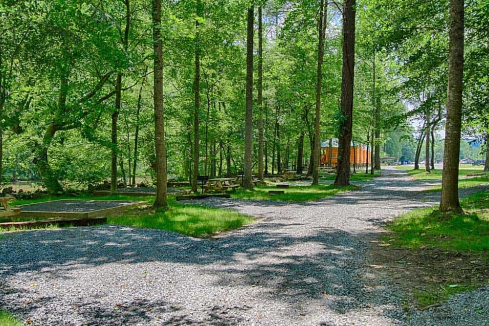 Pigeon River Campground view