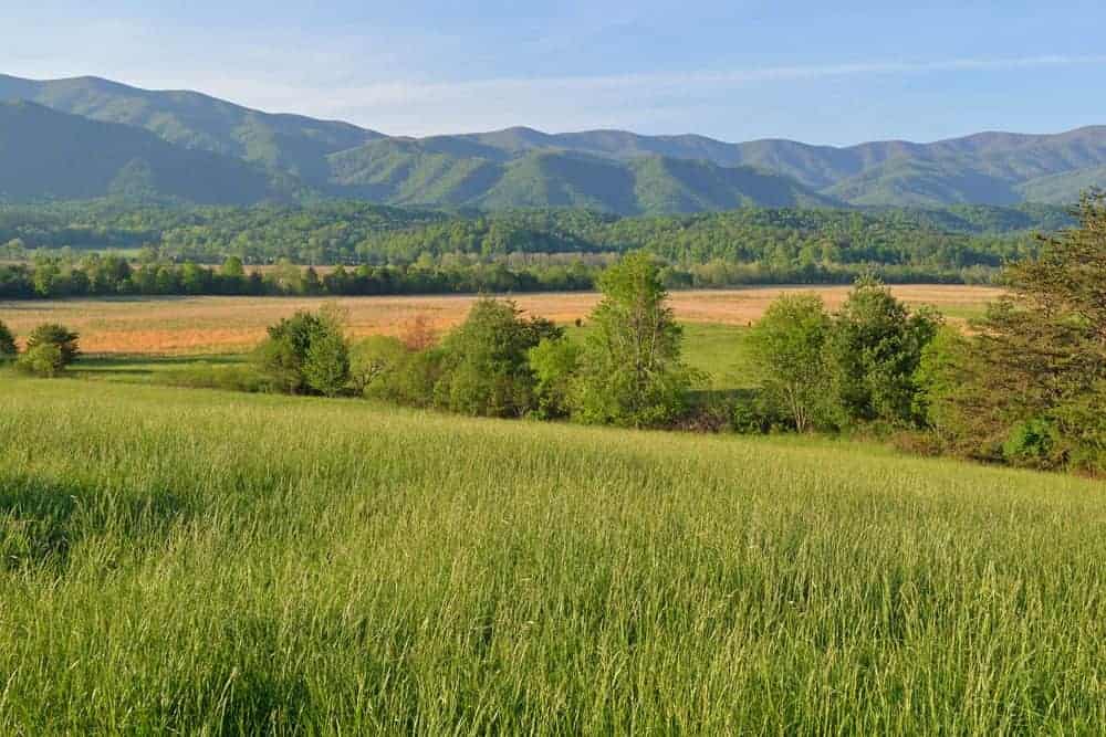 valley landscape in the Great Smoky Mountains National Park