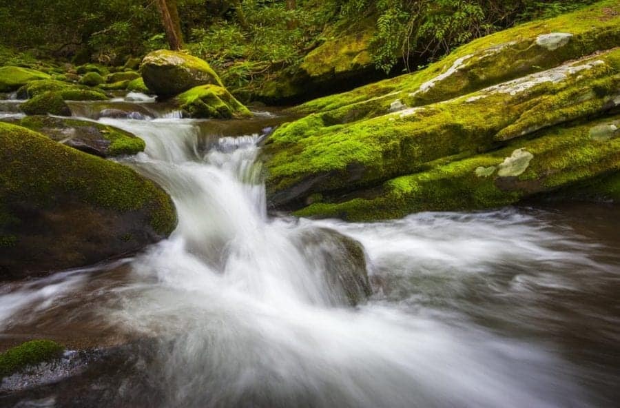 Scenic rapids you will see while Gatlinburg white water rafting in the spring.