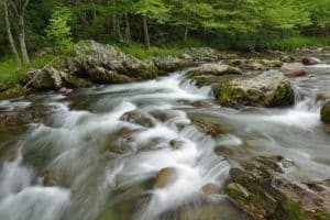 Rapids in the Pigeon River, a key part of any Gatlinburg white water rafting trip.