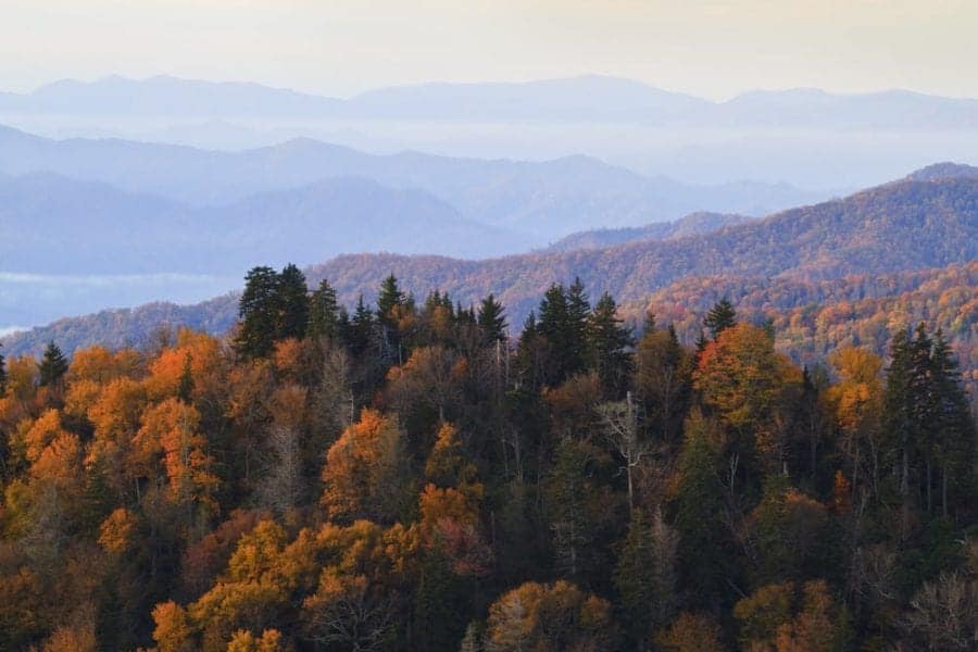 Amazing fall colors in the Smoky Mountains.