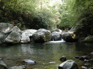 Quiet pool in stream next to huge boulders in Smoky Mountains