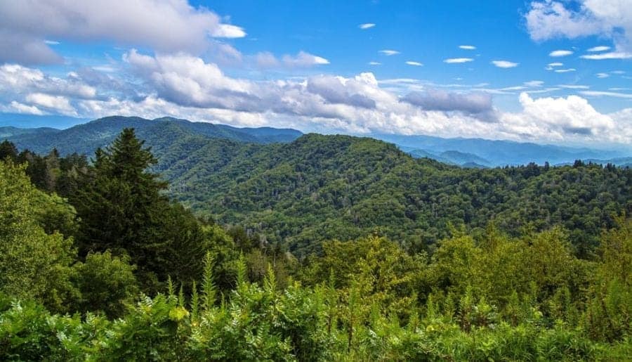 smoky mountains spring