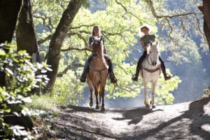 guided horseback riding in the smoky mountains