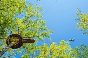 ziplining in Gatlinburg