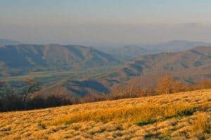 gregory bald in the fall