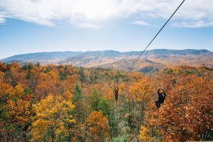 ziplining in the fall