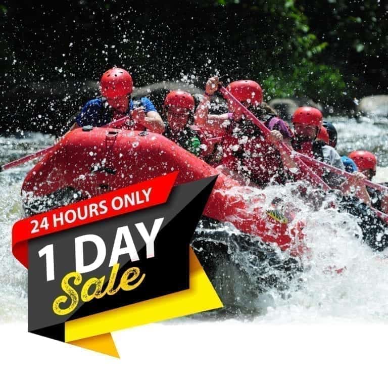 one day sale