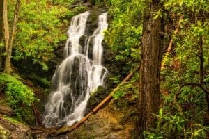 cataract falls in the great smoky mountains