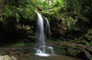 grotto falls in the smoky mountains