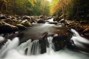 rushing water bubbling over stones creating whitewater