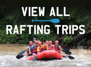 rafting trips