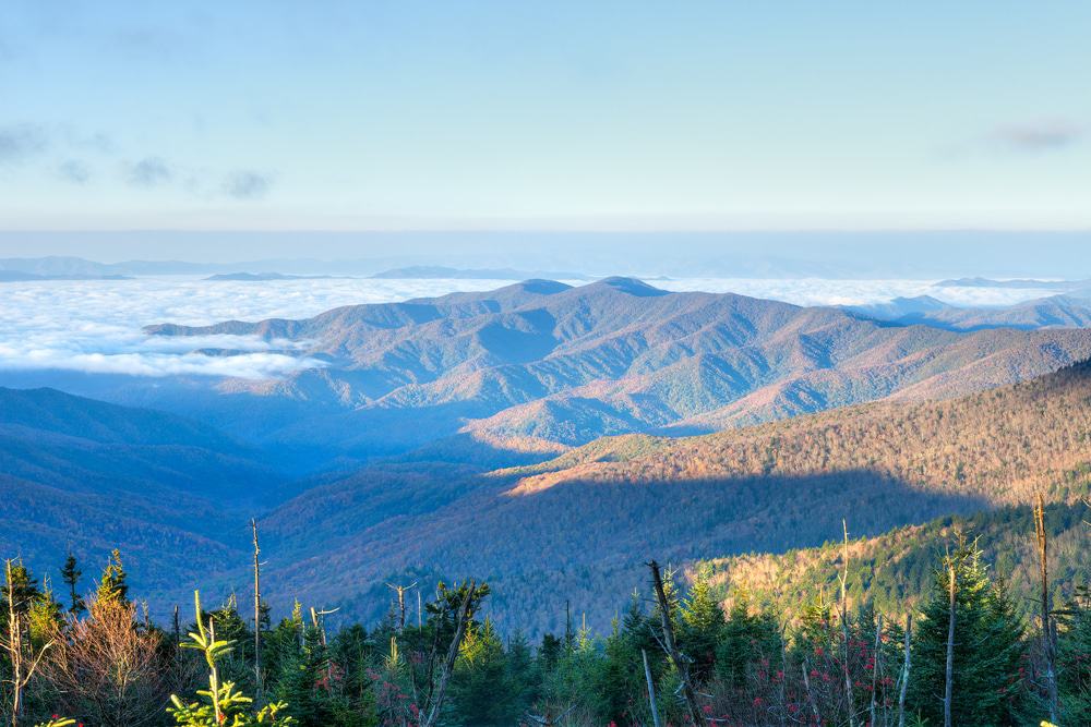 newfound gap view