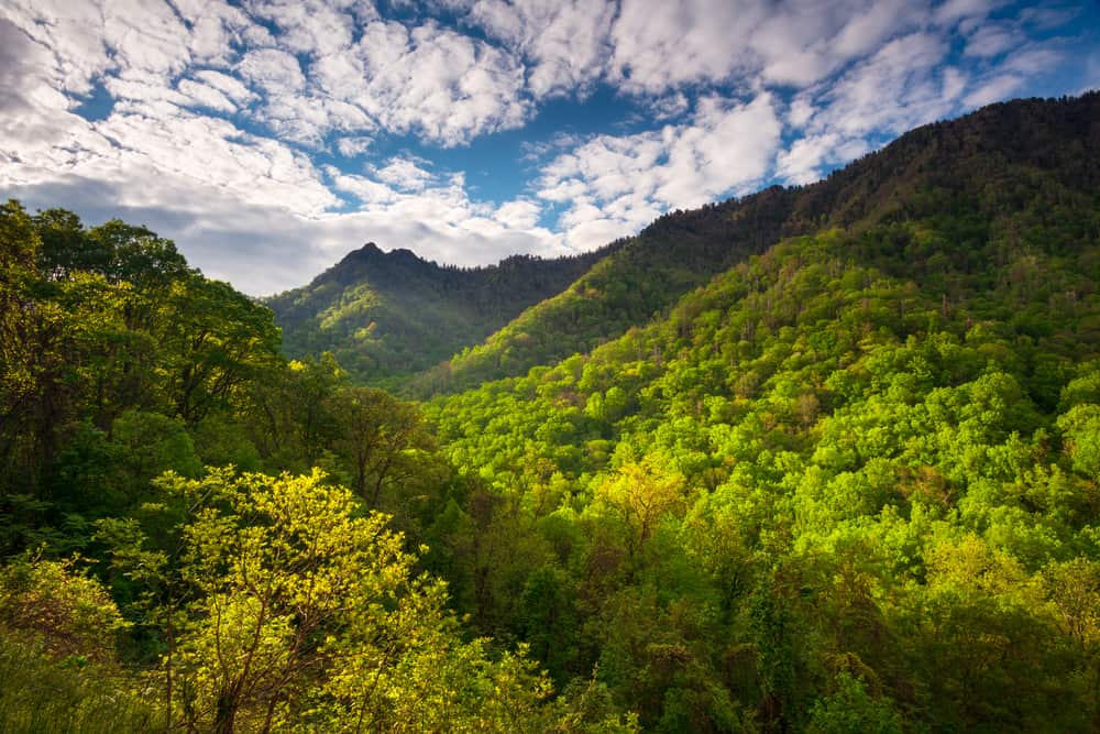 Think Green at Gatlinburg’s Annual Earth Week Events