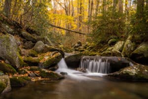 stream in Gatlinburg during late autumn