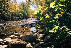 creek in the mountains