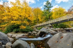 smoky mountain Fall colors