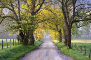 cades cove