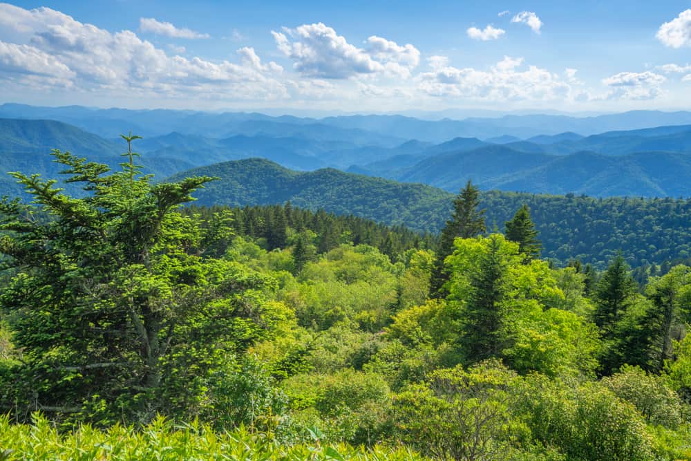 summer in the Smoky Mountains