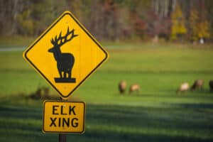 Elk crossing sign in the mountains