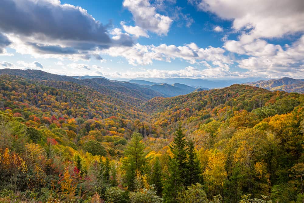 fall colors in the Smoky Mountains