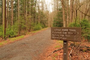 fall colors along Little River Trail in the Smoky Mountains