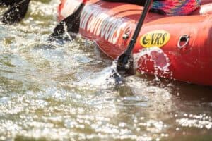 rafters sticking paddles in the Pigeon River