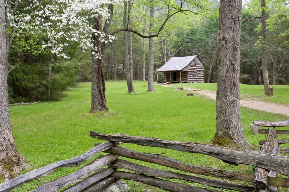 spring in the Smoky Mountains