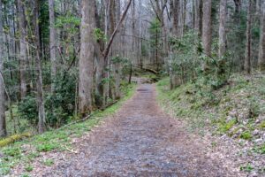 Cosby nature trail