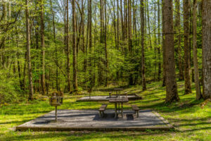 picnic tables and grills in Greenbrier Picnic Area